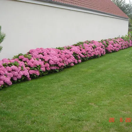 Chambres d'Hôtes La Villa des Hortensias-2